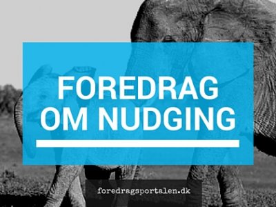Bliv klogere på nudging