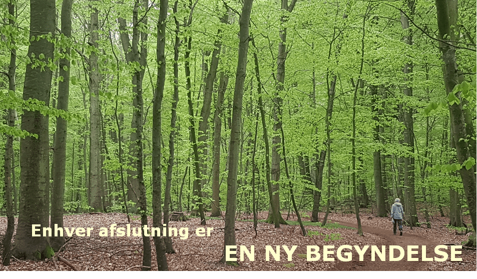 poul-erik-tindbaek-bifald