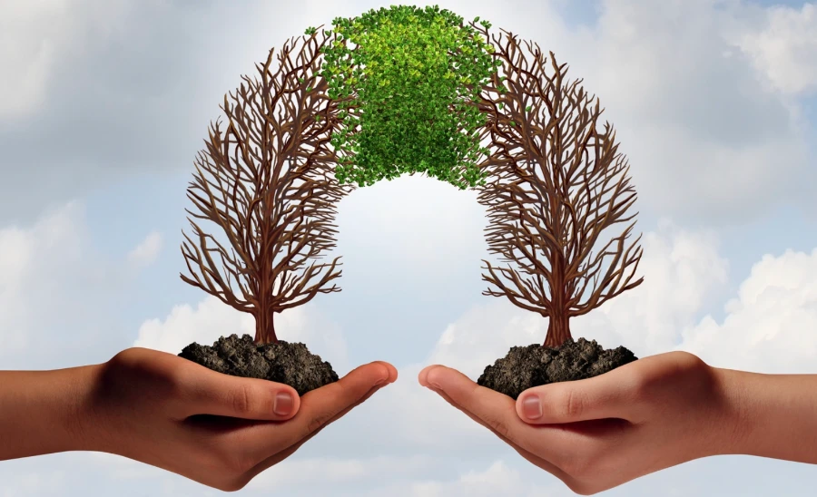 christin-walter-hullet-bifald